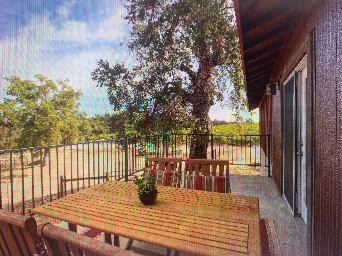 Villa Z Ranch Templeton Exterior foto